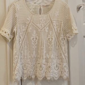 Sheer lace shirt sleeve blouse